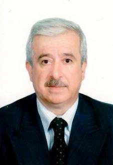 Mr. Mohammed Abdul Hafeez Samour
